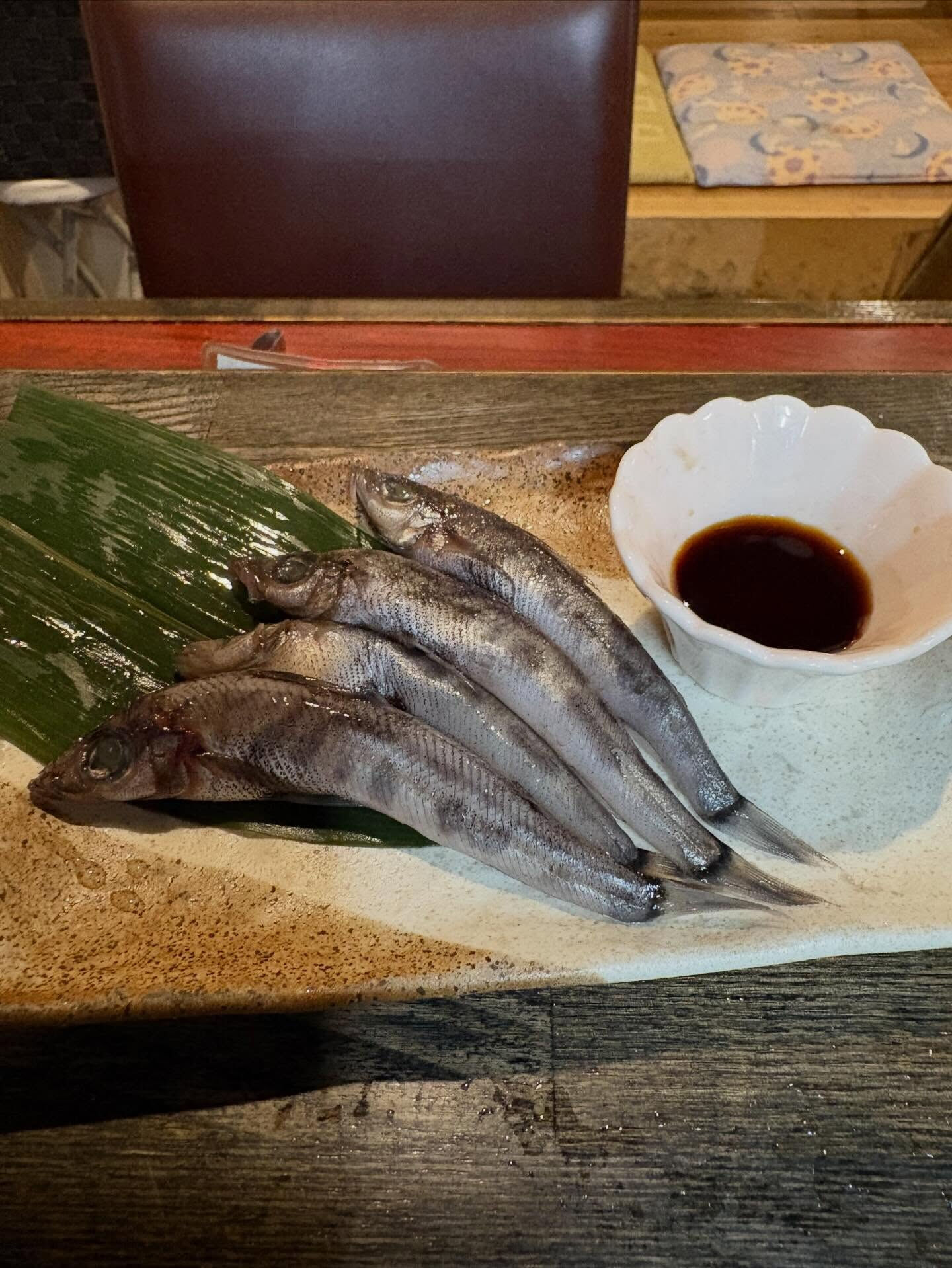 本日のおすすめ