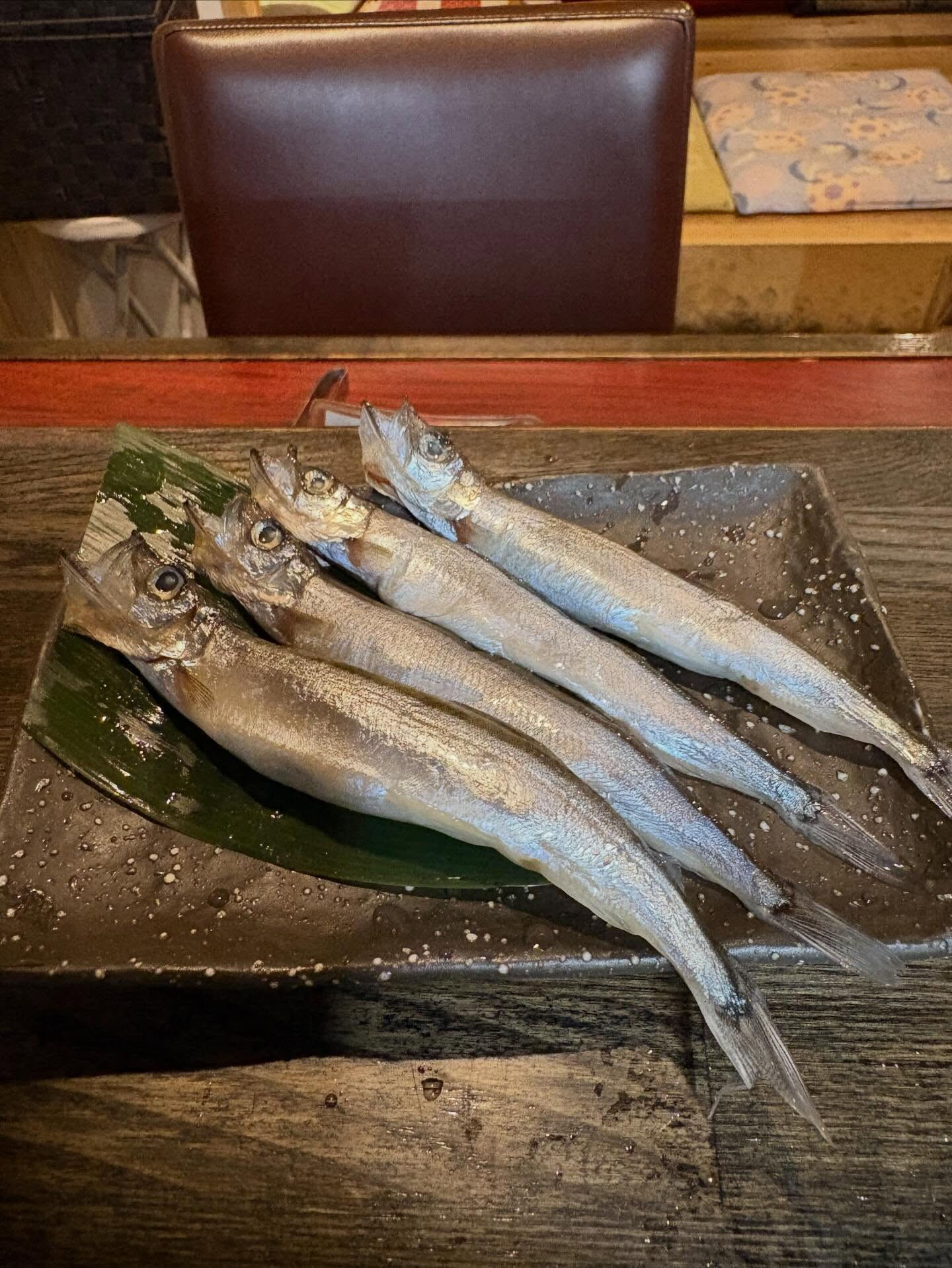 本日のおすすめ